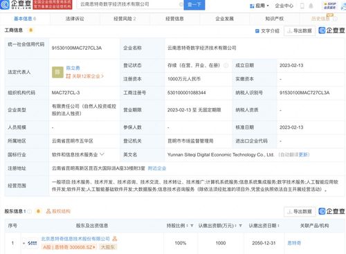 基礎(chǔ)軟件服務(wù) 數(shù)字化轉(zhuǎn)型的堅(jiān)實(shí)基石